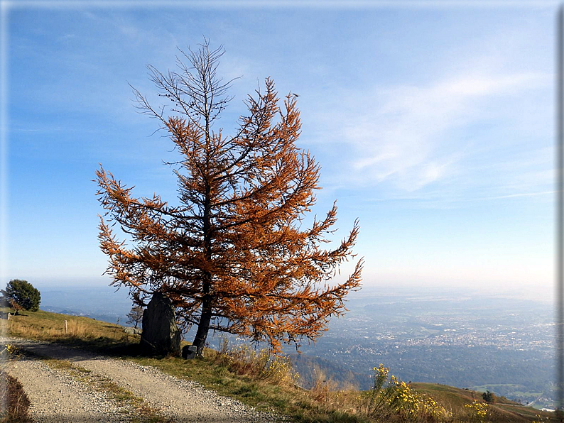 foto Poggio Frassati